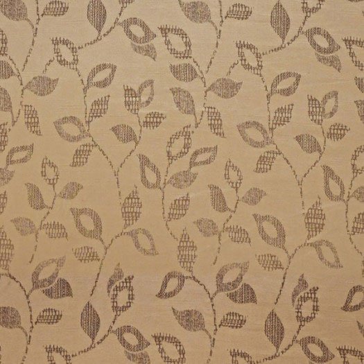 Axis Collection -  11