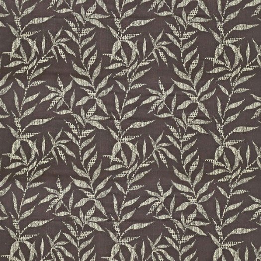 Axis Collection -  24