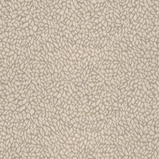 Edge Collection -  20