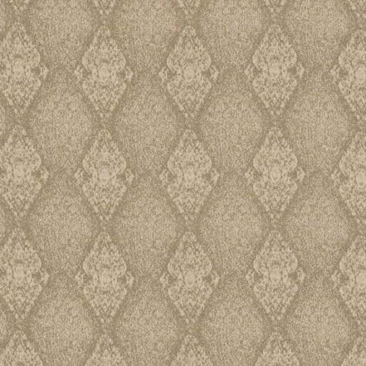 Edge Collection -  37