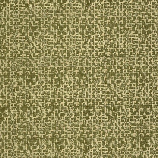 Delight Collection -  35
